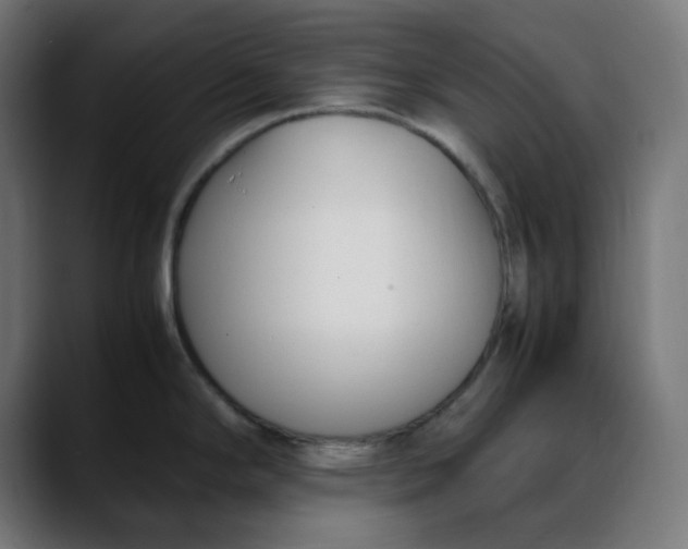 X0000088051294200705251314