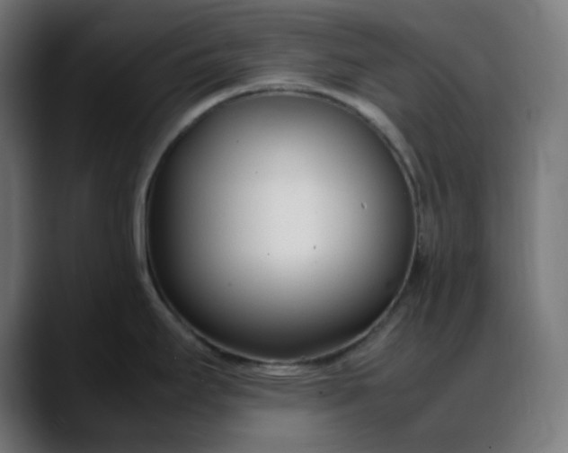 X0000088051295200705251314