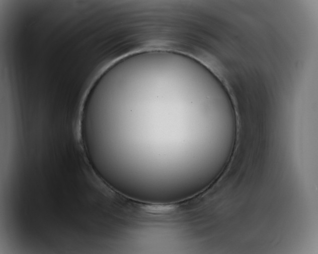 X0000088051296200705251314