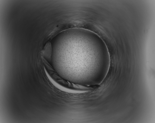 X0000088051298200705251314