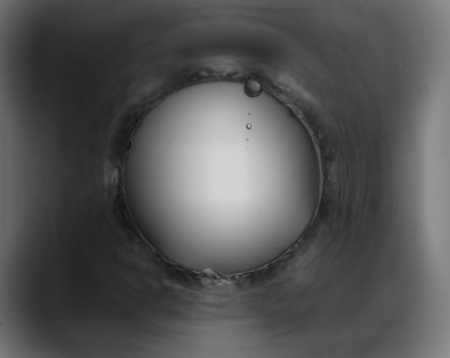 X0000088051302200705251314