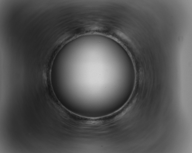 X0000088051305200705251314