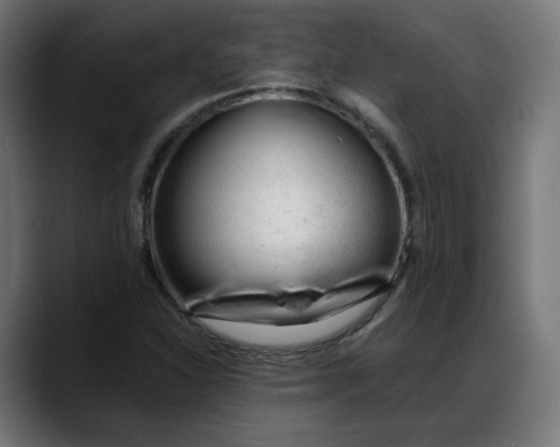 X0000088051310200705251314