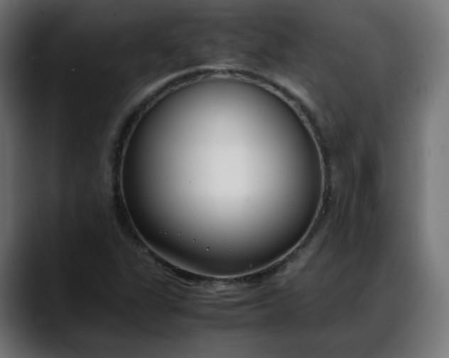 X0000088051311200705251314