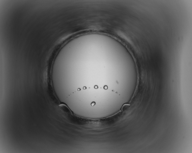 X0000088051315200705251314