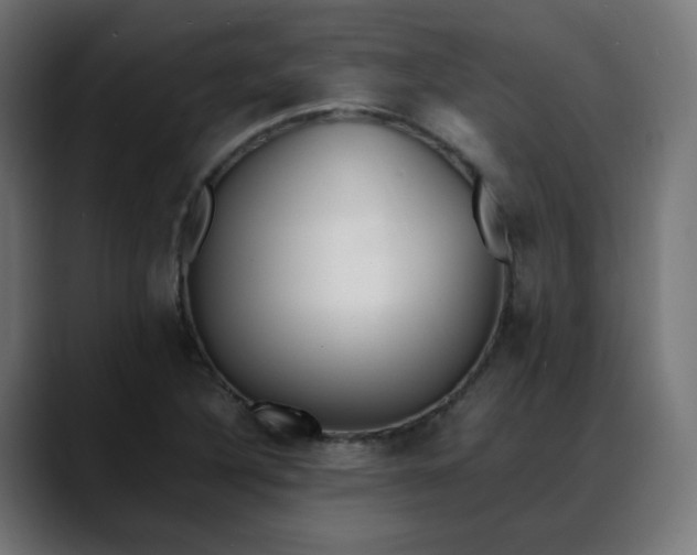X0000088051316200705251314