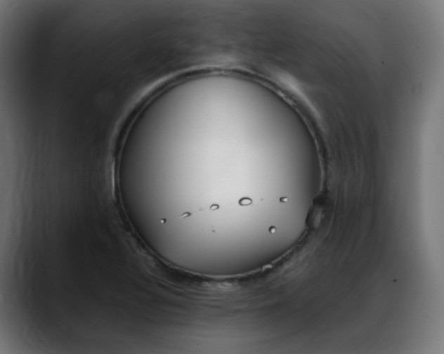 X0000088051320200705251314