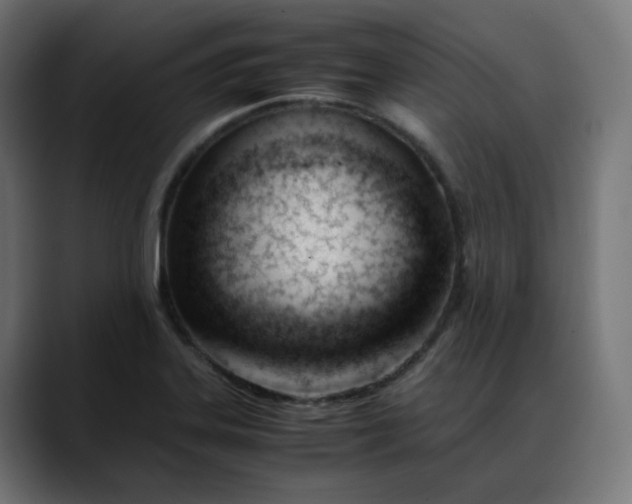 X0000088051323200705251314