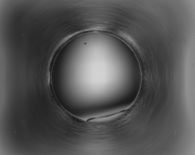 X0000088051324200705251314