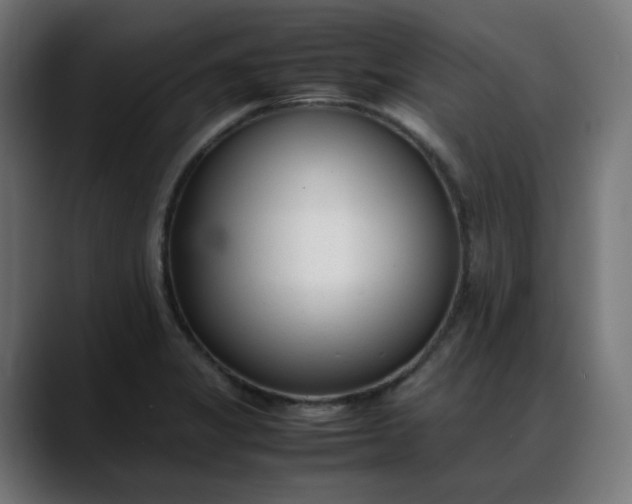 X0000088051325200705251314