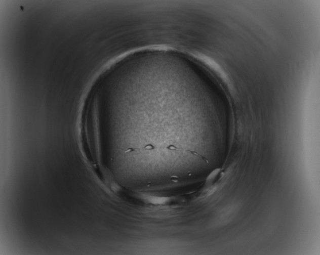 X0000088051327200705251314