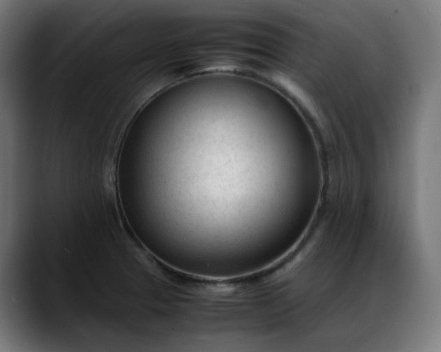 X0000088051329200705251314