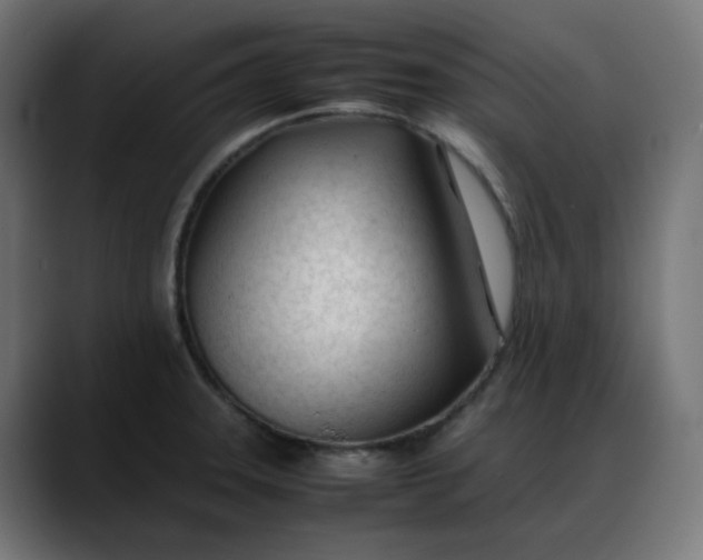 X0000088051331200705251314