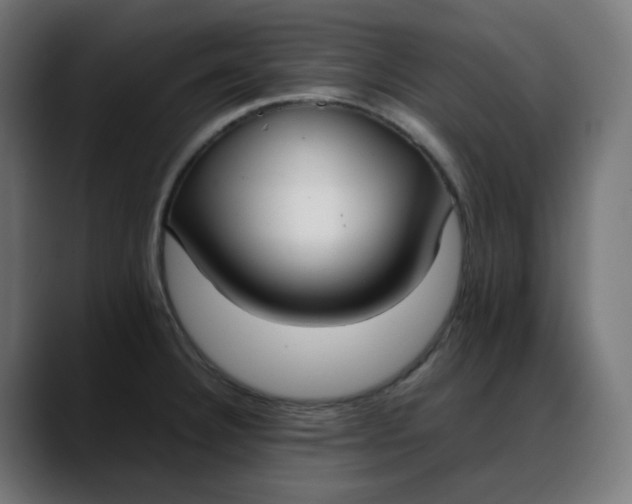 X0000088051332200705251314