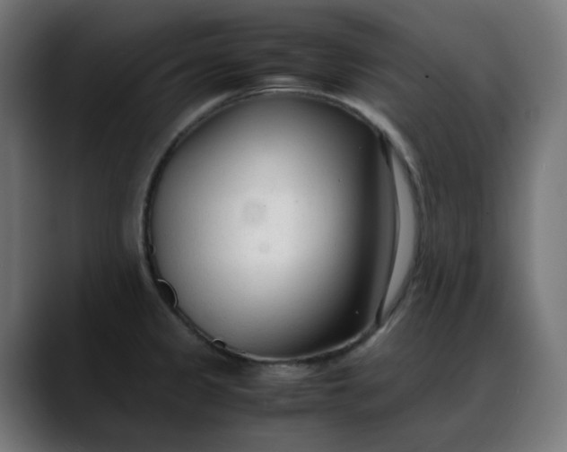 X0000088051333200705251314