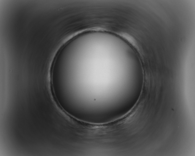 X0000088051335200705251314