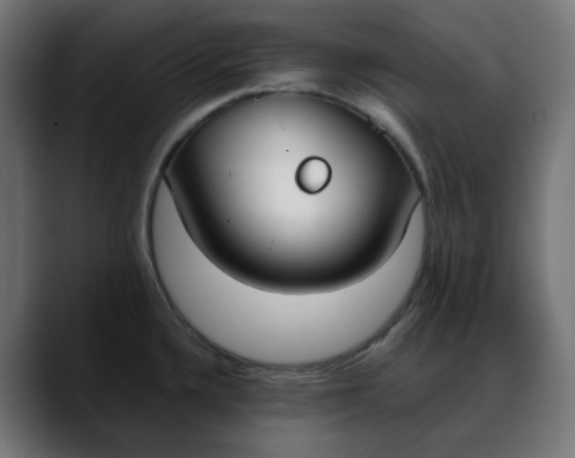 X0000088051336200705251314