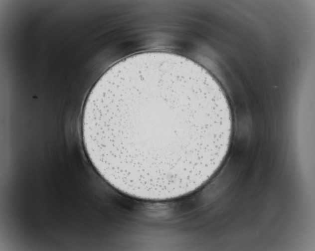 X0000088051338200705251314