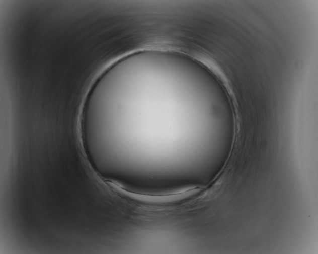 X0000088051344200705251314