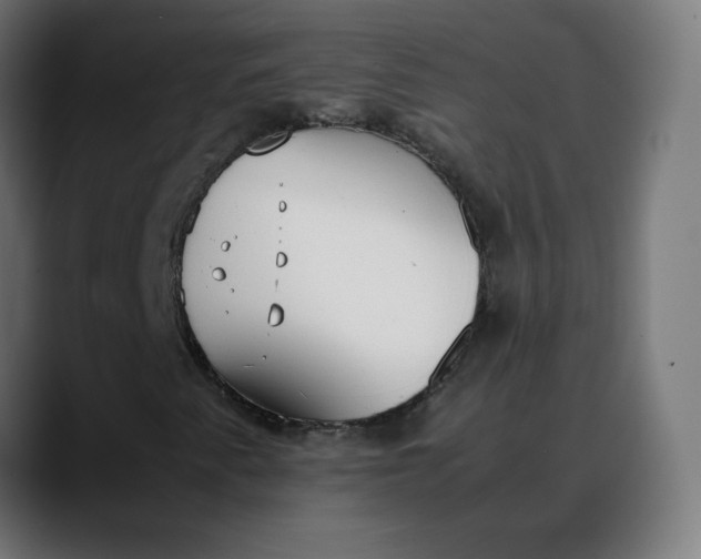 X0000088051345200705251314