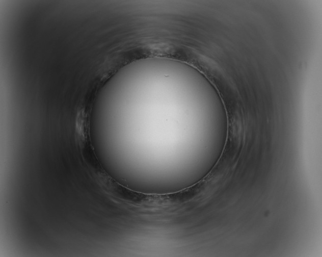 X0000088051346200705251314