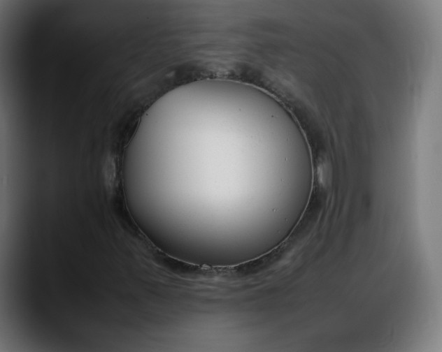 X0000088051347200705251314