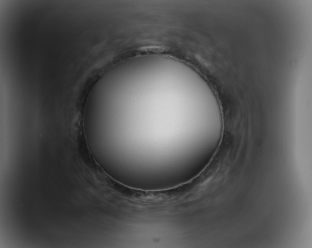 X0000088051351200705251314