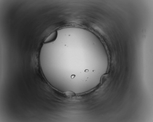X0000088051354200705251314