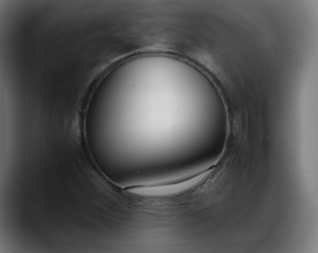 X0000088051356200705251314