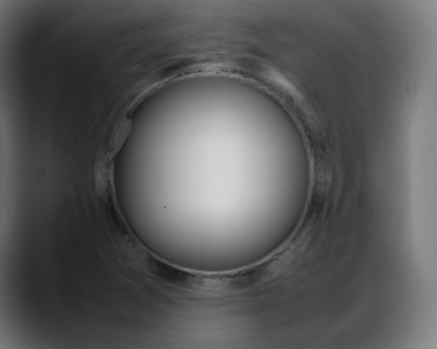 X0000088051361200705251313