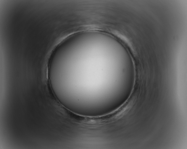 X0000088051365200705251313