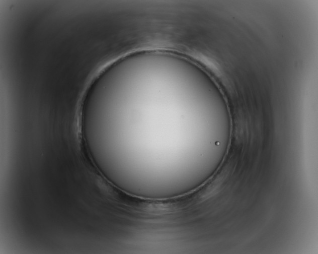 X0000088051366200705251313