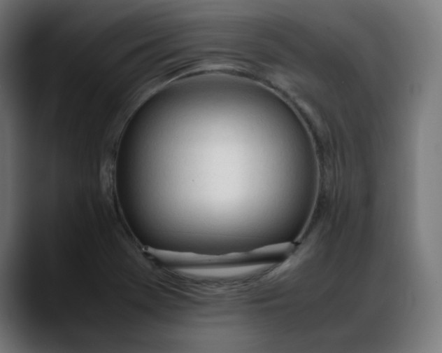 X0000088051369200705251313