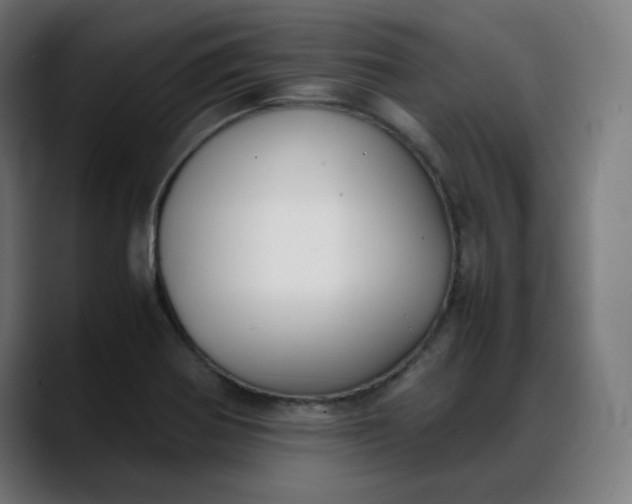 X0000088051370200705251313