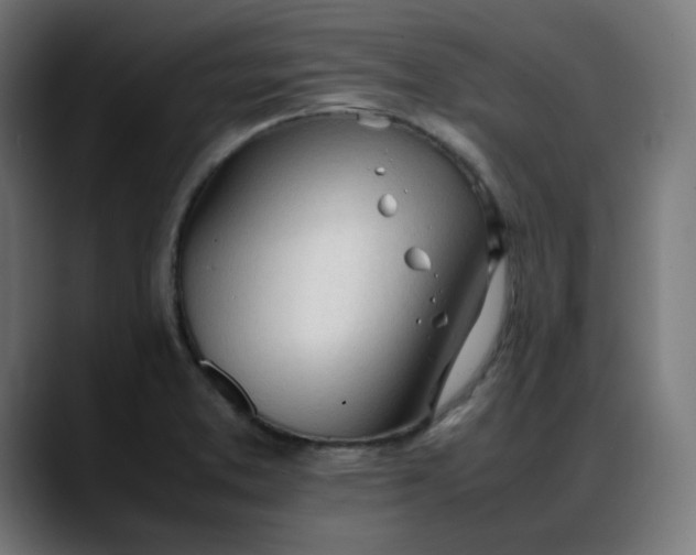 X0000088051373200705251313