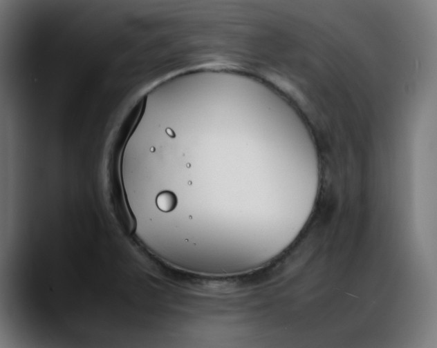 X0000088051375200705251313