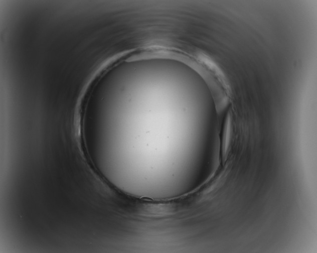 X0000088051376200705251313