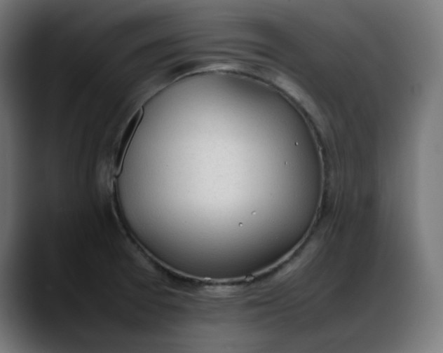 X0000088051377200705251313