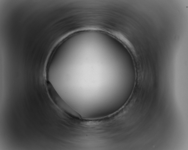 X0000088051380200705251313