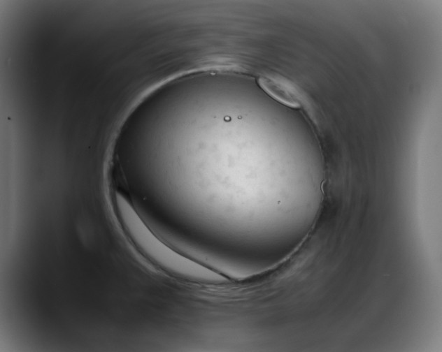 X0000088051383200705251313