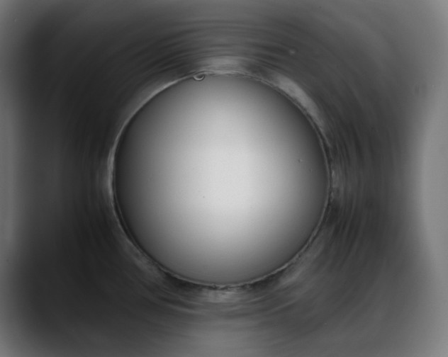 X0000088051386200705251313