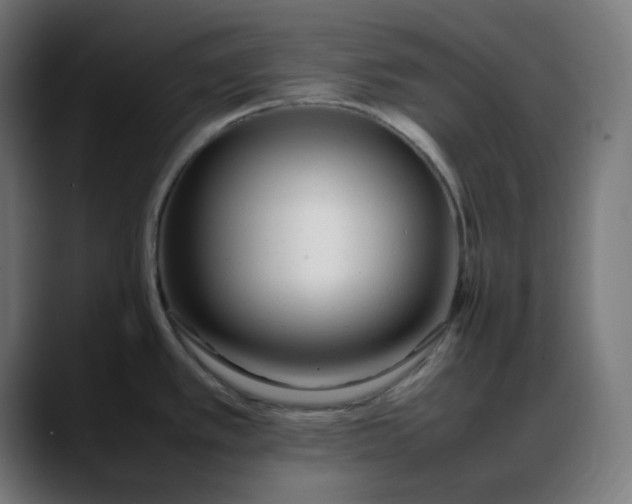 X0000088051389200705251313