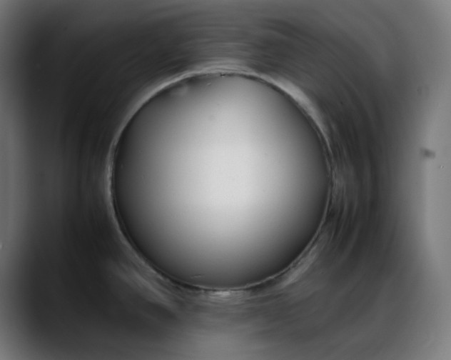 X0000088051390200705251313