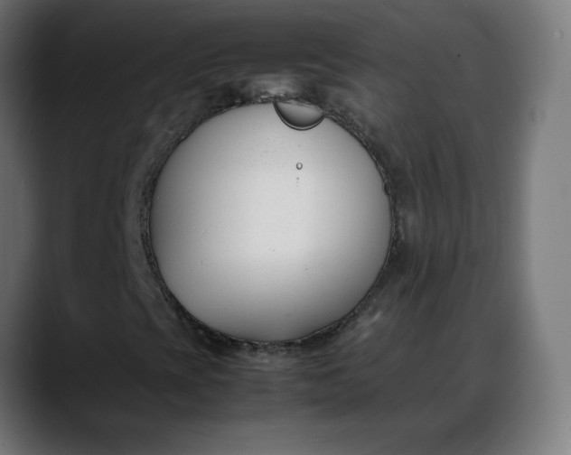 X0000088051393200705251312