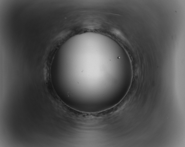 X0000088051398200705251313