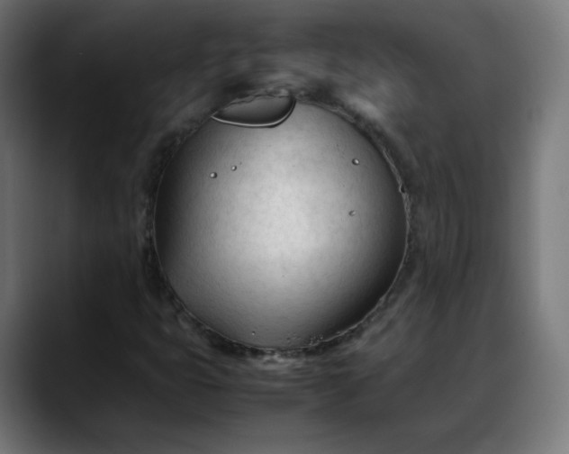 X0000088051399200705251313