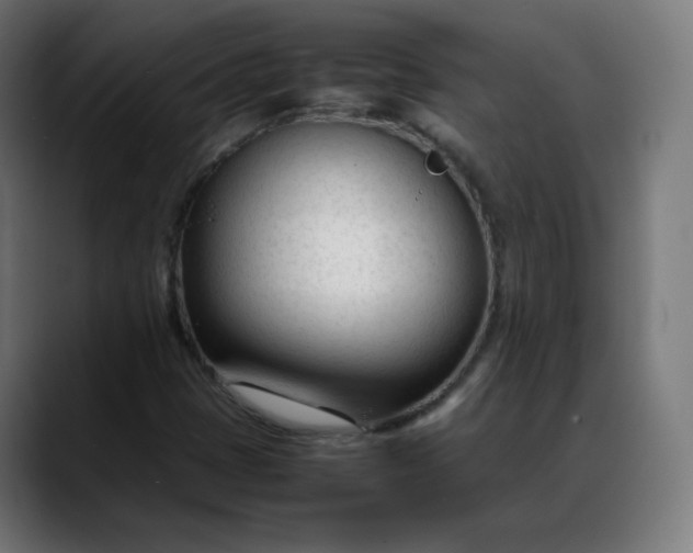 X0000088051401200705251313