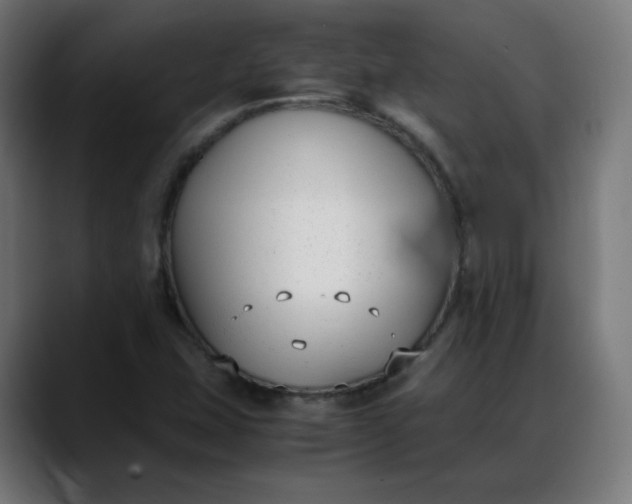 X0000088051407200705251313