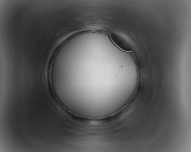 X0000088051412200705251313