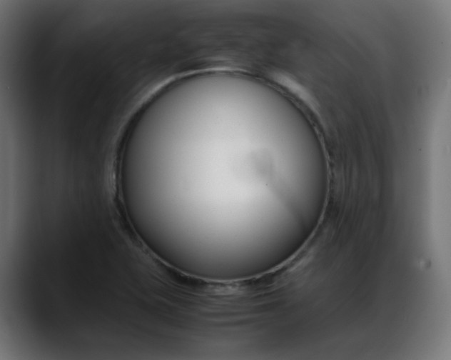 X0000088051415200705251313